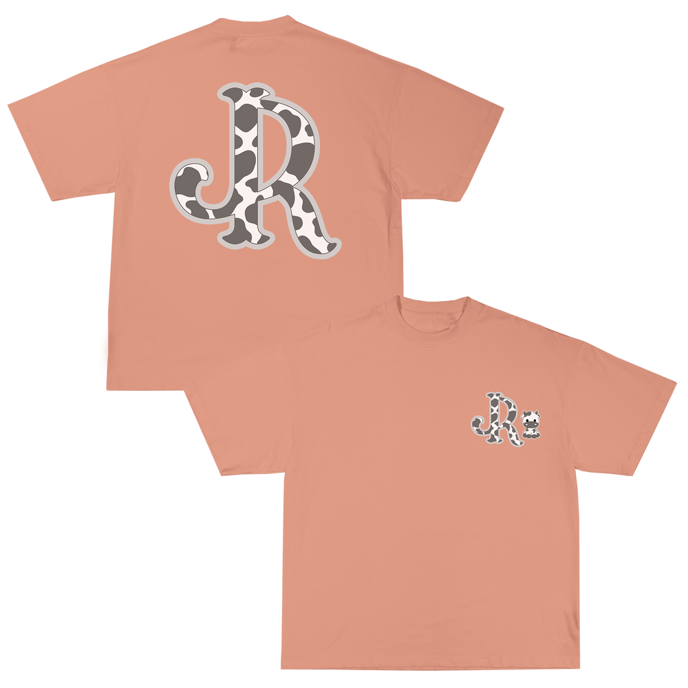 GREY CWPRNT PEACH T-SHIRT