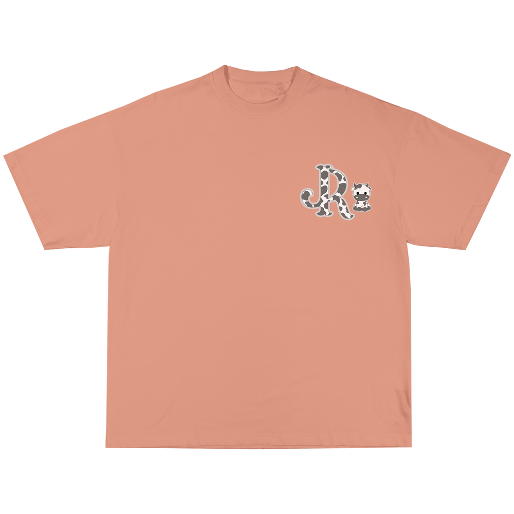 GREY CWPRNT PEACH T-SHIRT