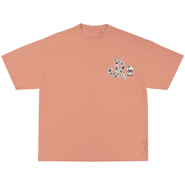 GREY CWPRNT PEACH T-SHIRT