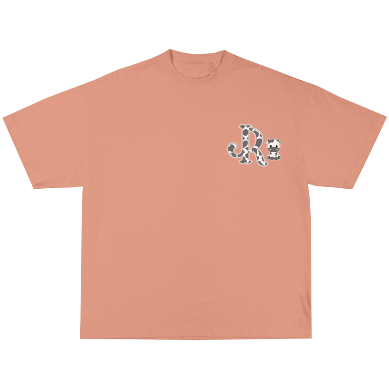 GREY CWPRNT PEACH T-SHIRT